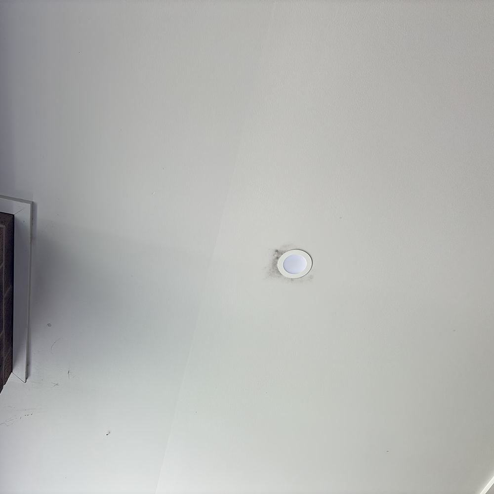 Mould Inspections in Ballarat